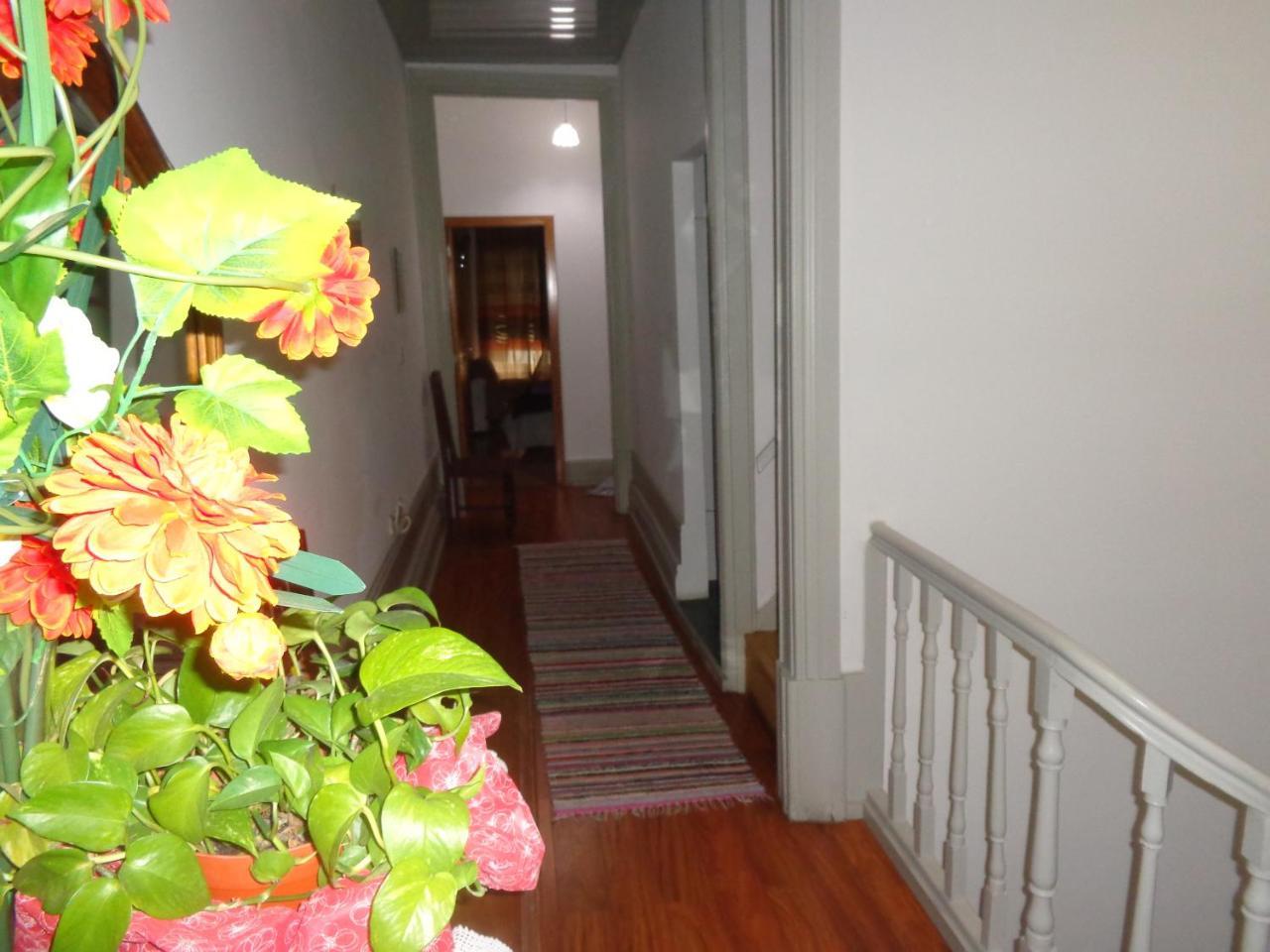 Portuense Alojamento Local Porto Ngoại thất bức ảnh
